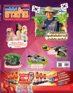 เทคโนโลยีชาวบ้าน ปีที่ 35 ฉบับที่ 793 พารามิเตอร์รูปภาพ 1