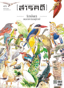 นิตยสาร สารคดี ฉบับที่ 473 สิงหาคม 2567 พารามิเตอร์รูปภาพ 1