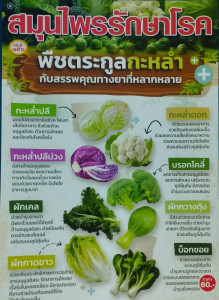 สมุนไพรรักษาโรค เล่มที่ 156 พารามิเตอร์รูปภาพ 1