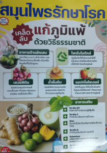 สมุนไพรรักษาโรค เล่มที่ 160 พารามิเตอร์รูปภาพ 1