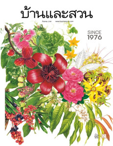 บ้านและสวน ฉบับที่ 589 กันยายน 2568 พารามิเตอร์รูปภาพ 1