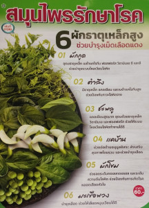 สมุนไพรรักษาโรค เล่มที่ 162 พารามิเตอร์รูปภาพ 1