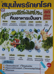 สมุนไพรรักษาโรค เล่มที่ 164 พารามิเตอร์รูปภาพ 1