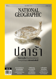 National Geographic ฉบับที่ 295 พารามิเตอร์รูปภาพ 1