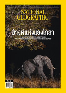 National Geographic ฉบับที่ 296 พารามิเตอร์รูปภาพ 1