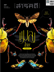 สารคดี ฉบับที่ 497 สิงหาคม 2569 พารามิเตอร์รูปภาพ 1